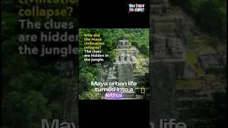 Archaeologists Just Found the REAL Reason the Maya Collapsed #MayaCivilization #Archaeology #Ancient