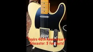 Squire 40th Anniversary Tele! 5 fun facts!
