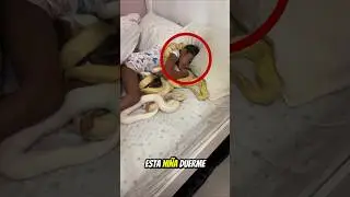 #babifreitas