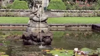 Excitement and Wonder In Pittencrieff Park