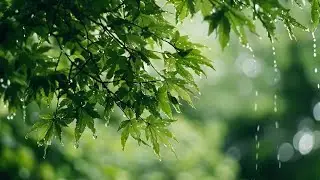 Sounds Like Sweet Milk | Soothing Music For The Nerves 🌿 Music For Heart Healing, Melody Relaxing