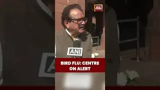 Bird Flu Alert: Centre Issues Advisory, Says Situation Under Control