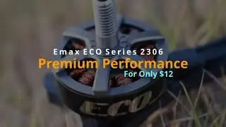 Emax ECO Series 2306 - Premium Performance For Only $12
