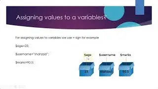 Learn PHP from Scratch- Variables
