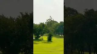 #relaxday#viralvideo#lemontreehotels#manesar