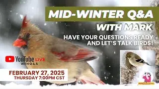 Mid-Winter Q&A with Mark