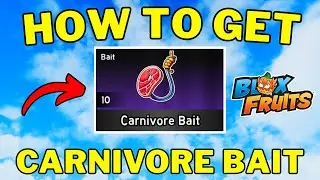 How To Get Carnivore Bait in Blox Fruits | How To Unlock The Carnivore Bait in Blox Fruits | Roblox