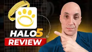 Halo Collar 5 Review: A Must-Watch Before You Buy!