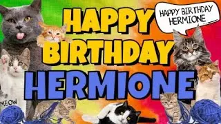 Happy Birthday Hermione! Crazy Cats Say Happy Birthday Hermione (Very Funny)
