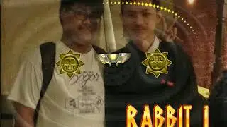 Zuma Entertainment Colors My Photos&Friends Level Snake Pit Gauntlet Rabbit 1