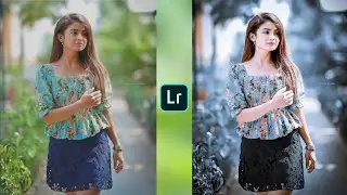 Silver Tone Lightroom Photo Editing | Lightroom Presets Download Free