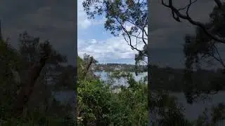 The best view from hiking ☘️🥰 #sydney #hiking #walking #views