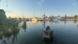 View of South Park Marina from Duwamish River People&rsquo;s Park and Shoreline Habitat