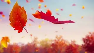 Autumn Glow 🍂 Lofi Anime Vibe