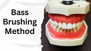 Bass Brushing Technique