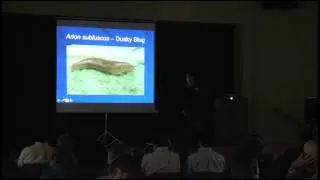 European Invaders: California's Invasive Slugs & Snails and Novel Approaches to their Control