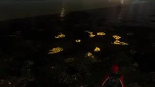 Высший пилотаж 100/250 метров высоты Marvel's Spider-Man