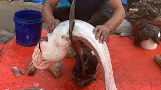 I never seen ll amazing big Boyal fish cutting live skills by expert fish cutter in Fishmarket 