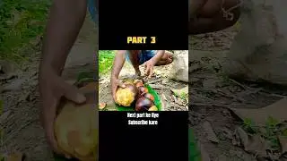 ice apple short | sugar palm fruit | #shortvideo #cooking #recipe #ytshorts