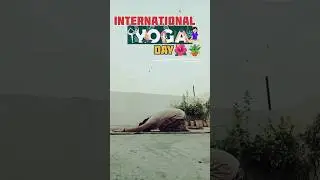 International Yoga day 2025🌿🍃🧘🏻&zwj;♀️🙏🏻#yoga #meditation #yogalife #minivlog