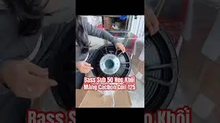 Giải Ph&aacute;p Cho Ae Th&iacute;ch Lực M&agrave; Sợ Đau Lưng - Bass Sub 50 Neo Khối M&agrave;ng Cacbon Coil 125