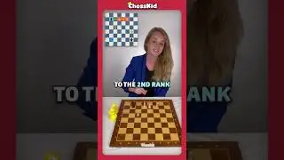 A Chess MINI-GAME?!
