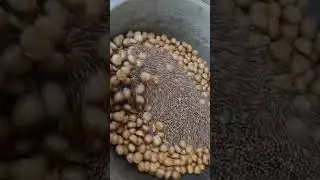 Electric Chestnut roaster, nut roasting machine, China factory roasting,wholesale,China Supplier