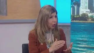 San Diego District Attorney shares city effort to fight crime