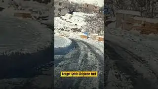 Adıyaman Gerger | Kurt Vakası #kahtacommagene #gerger #kurt #shorts #viral #fypシ #adıyaman