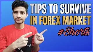 How To Survive In The Forex Market? YouTube shorts | Trending Knowledge