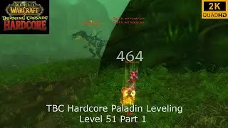 💀WoW TBC Hardcore | Paladin Leveling | Level 51 Part 1 | Retri Paladin PoV | 2K