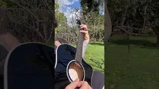 A little Alice In Chains on a beautiful day ☀️ #aliceinchains #taylorguitars #neuraldsp #daddario