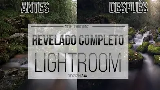 Revela un RAW en Lightroom paso a paso