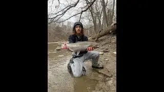 ROCKY RIVER STEELHEAD