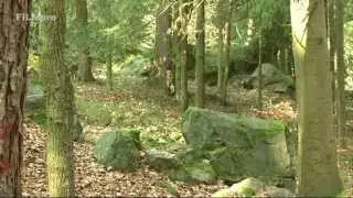 Tupadelské skály