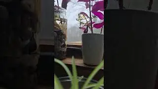 Day 9 Reading the Bible in a year 