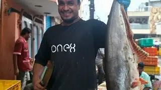 Big fish Basha Boneless Cutting #fish #fishcuttin #food #streetfood