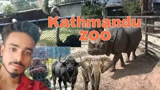 Nepali Kathmandu Chidiyaghar  |  Kathmandu Zoo