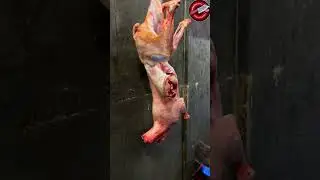 Excellent Fresh Meat Cutting/ Mitharan Meat Cutting #freshmeats #meatrecipes