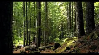 AMAZING NATURE SCENERY- 3 Minutes (1080p HD)