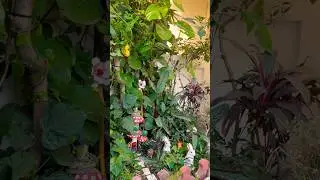 #diygardendecor#morning #flowers #garden #gardening #shorts#gardeningandcreativity #youtubeshorts