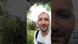 #мудроедерево #лида #мистическоедерево #wisetree #mythicaltree