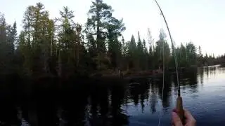Au Sable River Hendrickson Fly Fishing