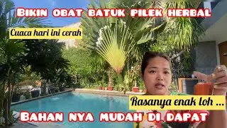 BIKIN OBAT BATUK PILEK HERBAL‼️BAHANNYA MUDAH & RASANYA ENAK 