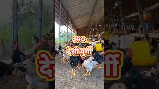30 हजार की कमाई, इतने मे, poultry business ideas, farming business ideas, #shorts #shortvideo #viral