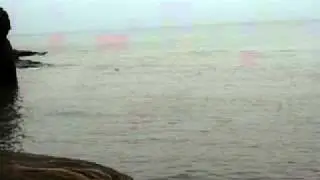 Tide Time Lapse