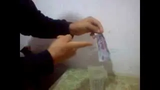 billete indestructible 2000 guaranies
