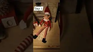 Naughty elf week 1