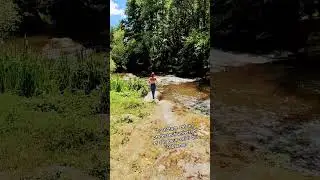 #foryou #nature #cc #reels  #vanlife