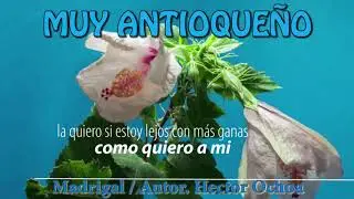 Muy Antioque&ntilde;o - Madrigal (Letra)
